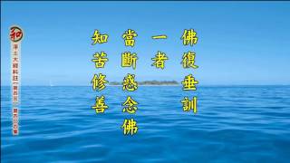 2014淨土大經科註 [字幕版] - 0404