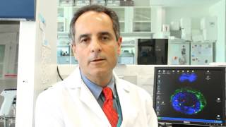 Biodynamics of circulating tumor cells, tumor microenvironment and metastasis
