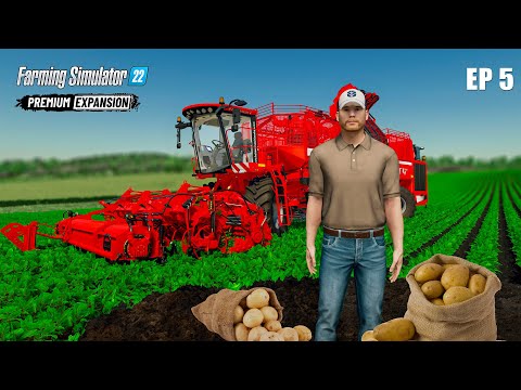 Видео: Картофельный магнат Zielonka Farming Simulator 22 EP 5