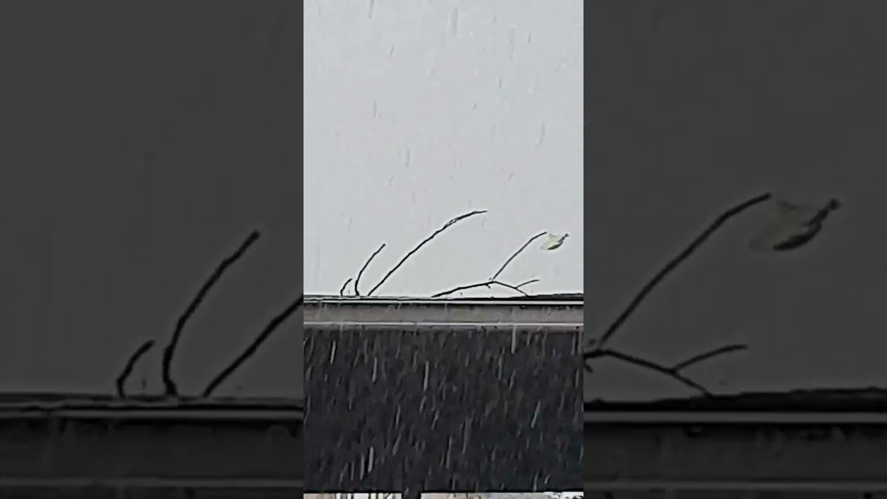 Detik detik layangan terkena petir