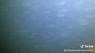 Little dive at Conley Bottom Resort for a hydro hoist