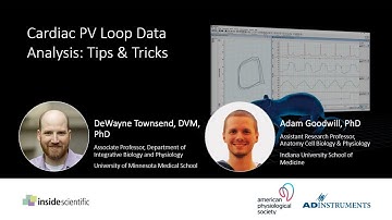 Cardiac PV Loop Data Analysis: Tips & Tricks