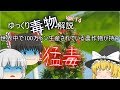 ゆっくり毒物vol.14　～リシン～