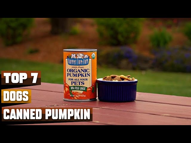 Kong + Pumpkin Recipes - Nummy Tum Tum