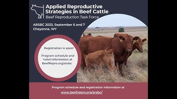 Using Natural Service and Estrus Synchronization: How to be Successful