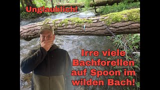 Unglaublich! Irre viele Bachforellen auf Spoon im Wildbach!