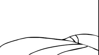 Macromedia Flash Mx 2004 Animation Test