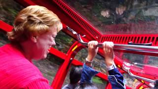 Blue Mountain Scenic Railway  worlds steepest (inclined) Railway