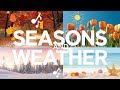 Seasons and Weather for Kids | Fun Facts About Winter, Spring, Summer, Fall | Educational Video