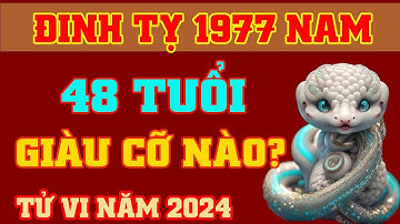 Tử Vi 2024 Tuổi Đinh Tỵ 1977 Nam Mạng - Gánh Lộc Về Nhà, Phát Tài Đổi Vận Giàu Sang || Vượng Tài Lộc