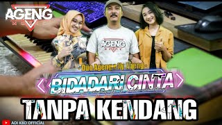 Bidadari Cinta [ TANPA KENDANG ] Versi New Ageng Musik Cover KORG Pa Series