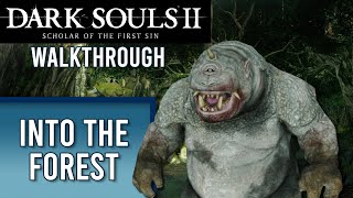 Forest of Fallen Giants | DS2 WALKTHROUGH | Part 3