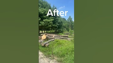 Just finished this small logging job.. #logging #dozer #case #trees #custom #outdoors #cutting #fun