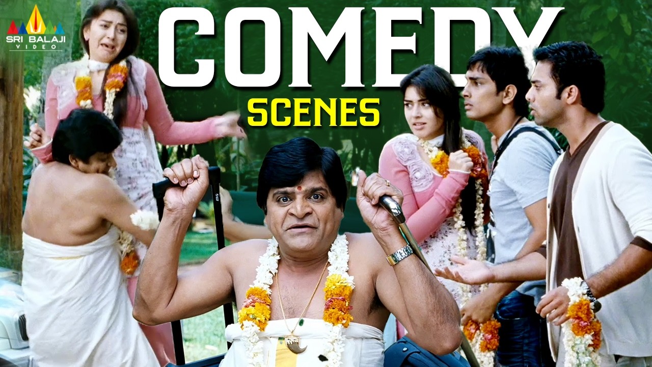 Ali Comedy Scenes Back to Back |  Oh My Friend | Latest Telugu Scenes | Siddharth, Shruti Haasan