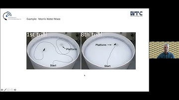 Animal Behavior & In Vivo Neurophysiology Core, Neurotechnology Center, CU Anschutz Medical Campus