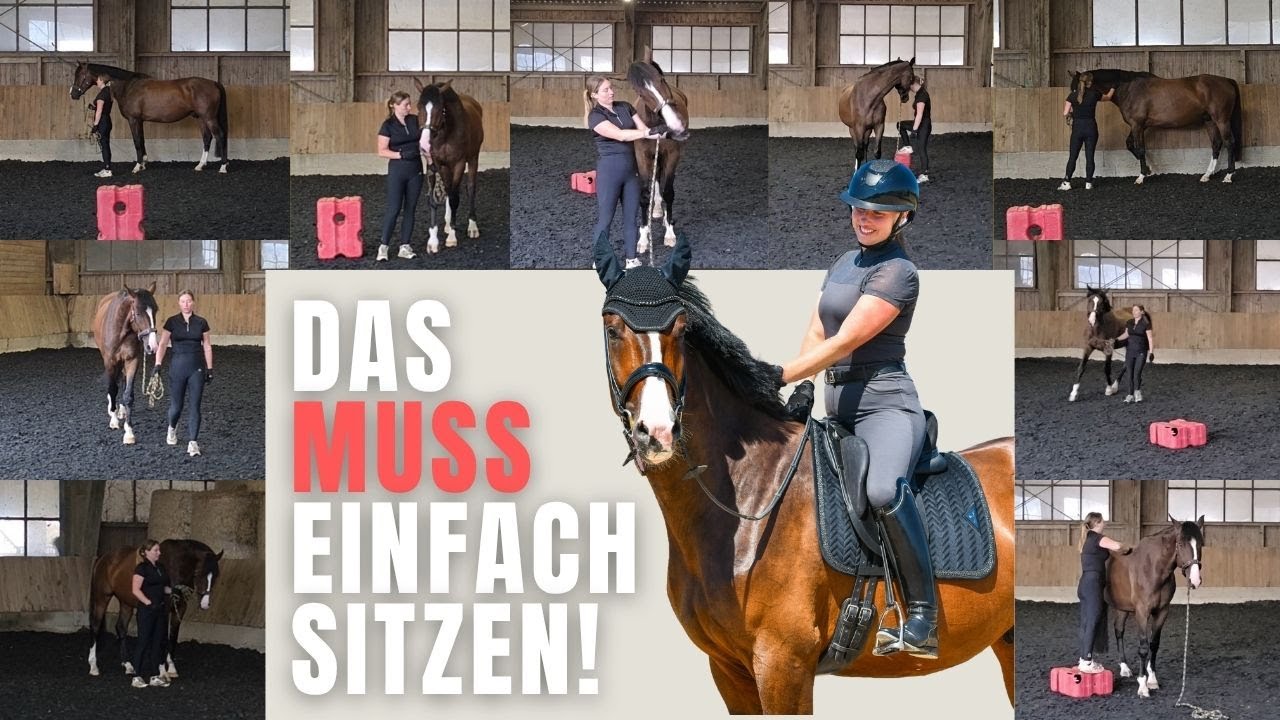 Was tun, wenn dein Pferd NICHT stillsteht? - Unsere Lösung!