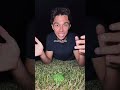 Why I LOVE Touching Grass.. 🍃 #relatablestories #comedy #funnymemes