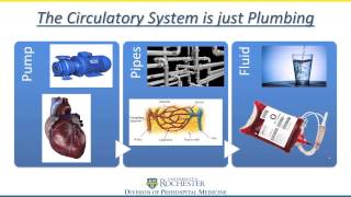 Sepsis & Distributive Shock Final