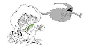 Forests: Key to Confronting Climate Change