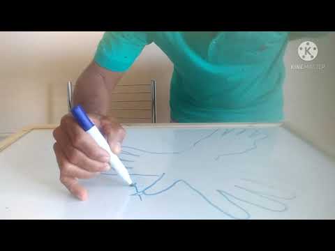 Atividade sobre o Hino Nacional