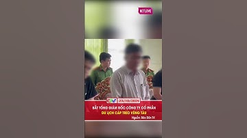 BẮT TỔNG GIÁM ĐỐC CÔNG TY CỔ PHẦN DU LỊCH CÁP TREO VŨNG TÀU