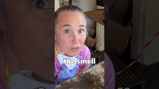 TOP 5 (#3) GROSSEST things in our rental unit #shorts #gross #landlord