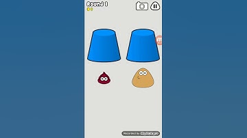 Pou Popper No more space! Find Pou Wrong cup! Game Over