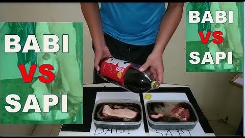 Eksperimen Daging Babi Vs Daging Sapi yang dicampur Big Cola ? ada apa ?