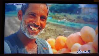 Что показывают в Египте по телевизору? Листаем 100 каналов | Atpalm