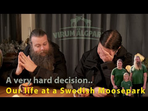 Our Life at a Swedish Moosepark   ..we had to take a very difficult decision..