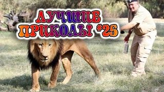 ЛУЧШИЕ ПРИКОЛЫ #25. Подборка для настроения. СМЕШНОЕ ВИДЕО МАЙ 2017