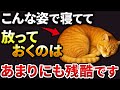 【こんな寝方してたら注意】猫が寝姿で伝える７つのサイン