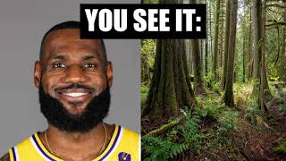 Lebron James You Are My Sunshine You See It: