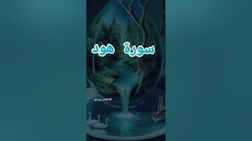 سورة هود #quran #اكسبلور #دويتو #دعاء #duet #دعاءمستجاب #تيك_توك #لايك #حالات_واتس #صباح_الخير