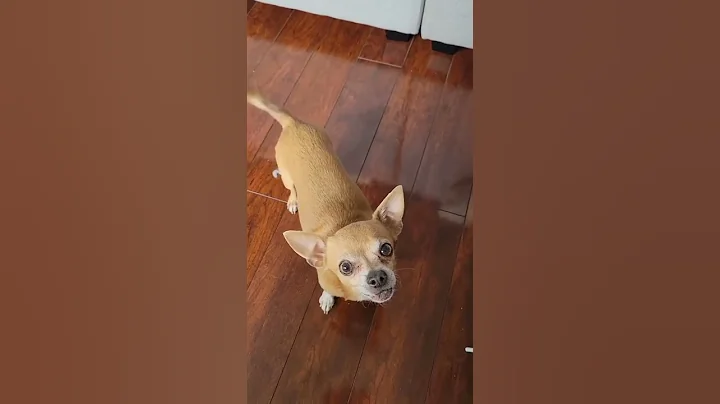 He's ready..