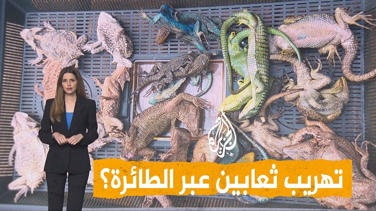 ������ ������ �� ����� �����.. ��� ������ ������ʿ - �����
 - نشر قبل 20 دقيقة