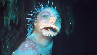 Famous Mermaid Sightings Scientists Can't Debunk