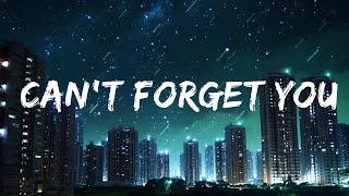 James Carter, Ofenbach, James Blunt - Can't Forget You | Top Best Song