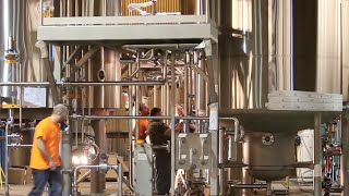 How A Craft Brew Grew