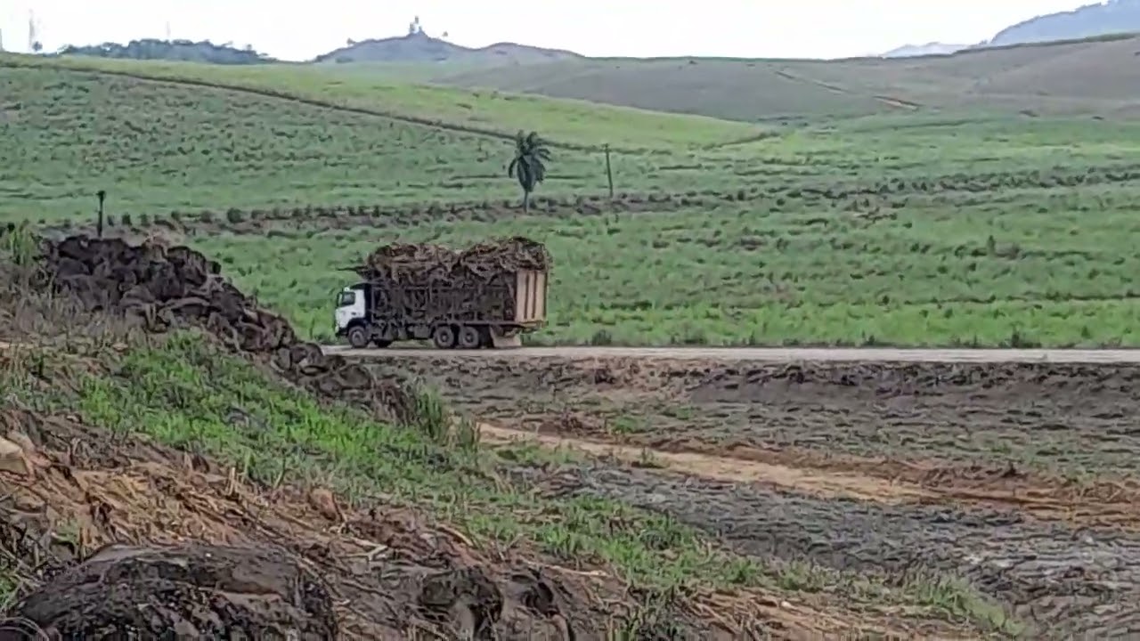 @EKS#CriadorDeConteúdos #carregamentodeCana. 