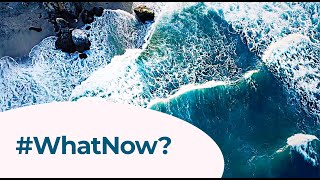 #WhatNow? • How people destroy Earth