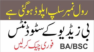 Roll Number Slips of BA BSc ADA ADS Annual Exams 2022 | BZU University 2022 Roll No Slips#bzu