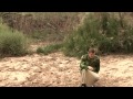 James O’Keefe as Osama bin Laden crosses border from Mexico to US