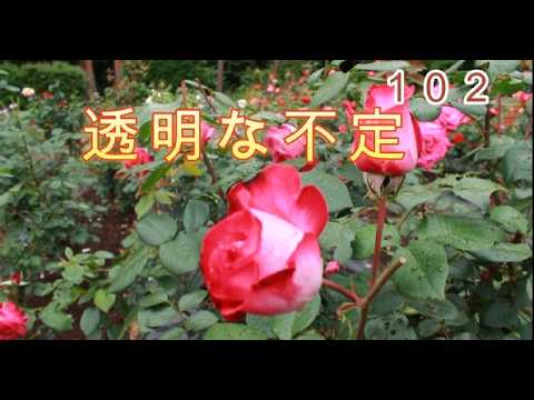 ＃102＃透明な不定