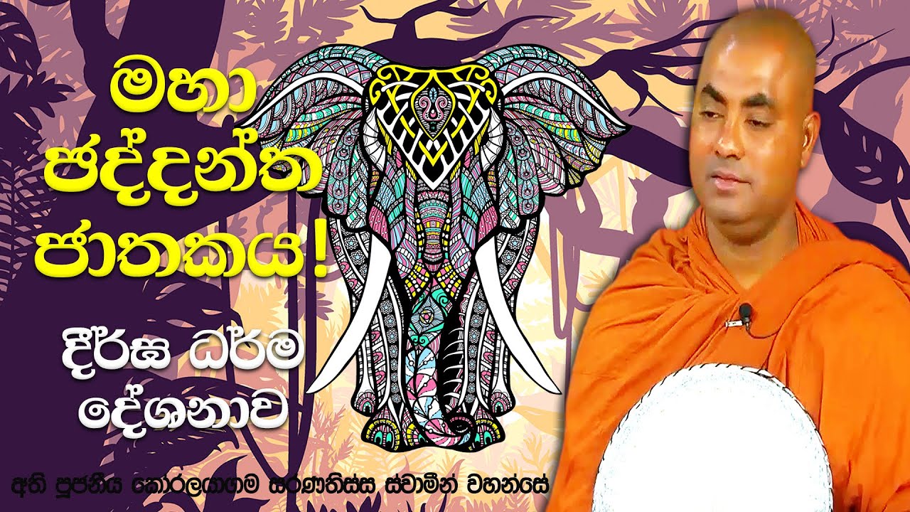 ගෞතම සසුනේ රහත් මෙහෙණියක් පෙර ආත්මයක බෝසතුන් මැරූ වෛරක්කාර බිරිඳක් | Koralayagama Saranathissa Thero