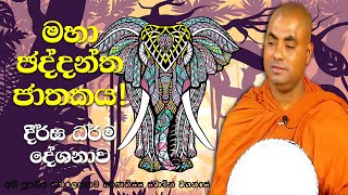 ගෞතම සසුනේ රහත් මෙහෙණියක් පෙර ආත්මයක බෝසතුන් මැරූ වෛරක්කාර බිරිඳක් | Koralayagama Saranathissa Thero