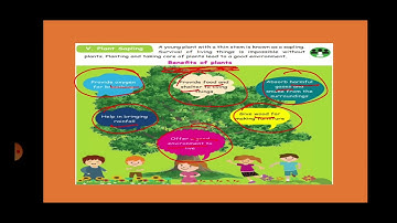 Class 3/TNB/Science/Term 3/Unit 1-Part 4/Session 33