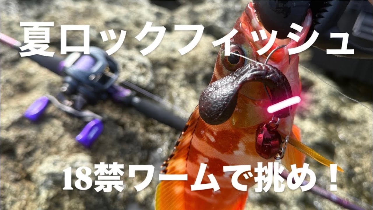 【夏ロックフッシュ】ヤバイワームでロックフィッシュ攻略できるのか？？