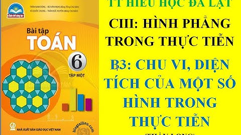 BÀI TẬP CTST TOÁN 6 - BÀI 3: CHU VI, DIỆN TÍCH CỦA MỘT SỐ HÌNH TRONG THỰC TIỄN - THẦY THÀNH LONG