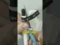 Grip Tape Secrets OSU Pros Don't Want You to Know